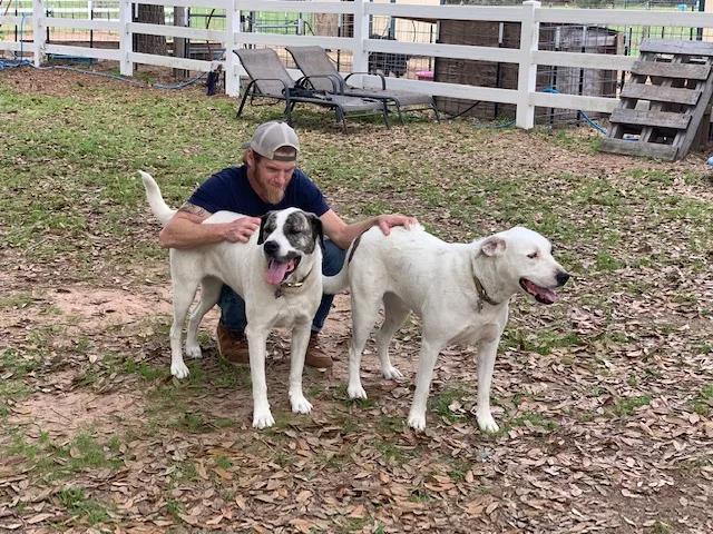 Lita & Ford  thumbnail 2