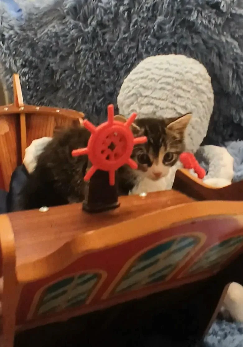 Mochi thumbnail 3