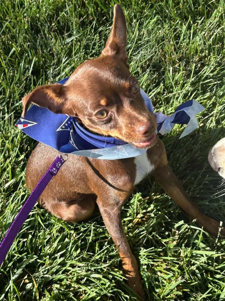 Coco