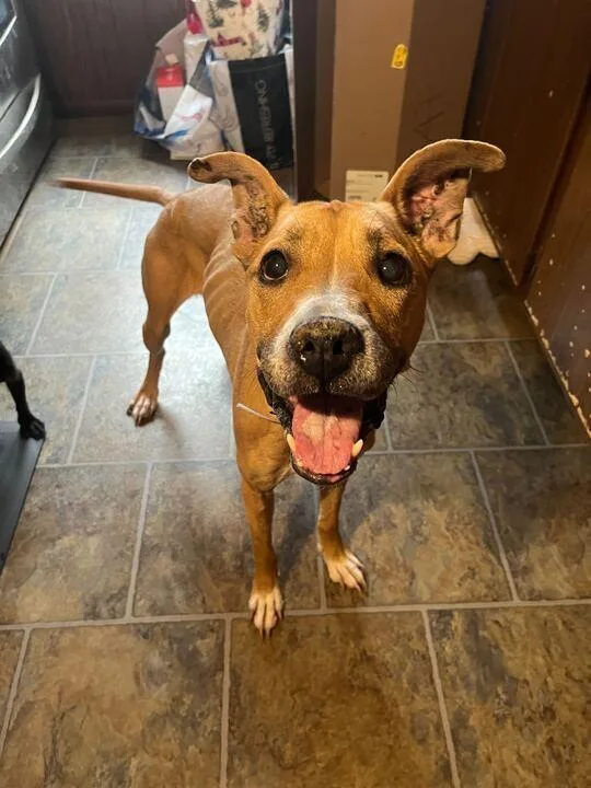 Pennylou thumbnail 4