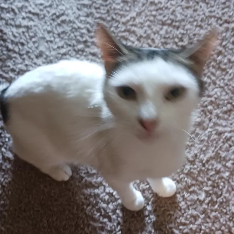 Kiki thumbnail 2