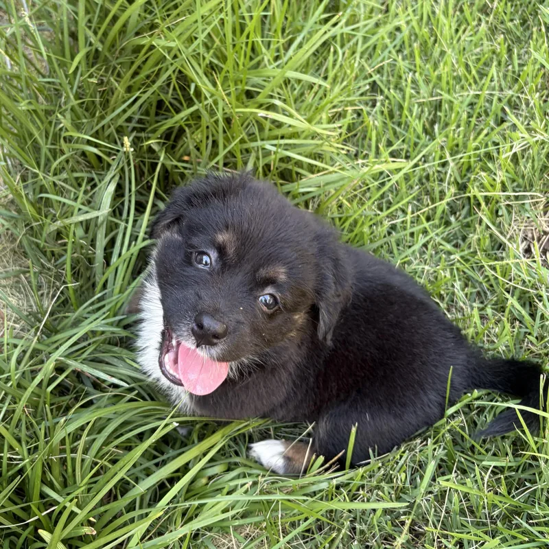 Bella thumbnail 3