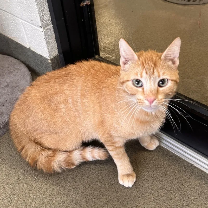 Empty Slot thumbnail 2