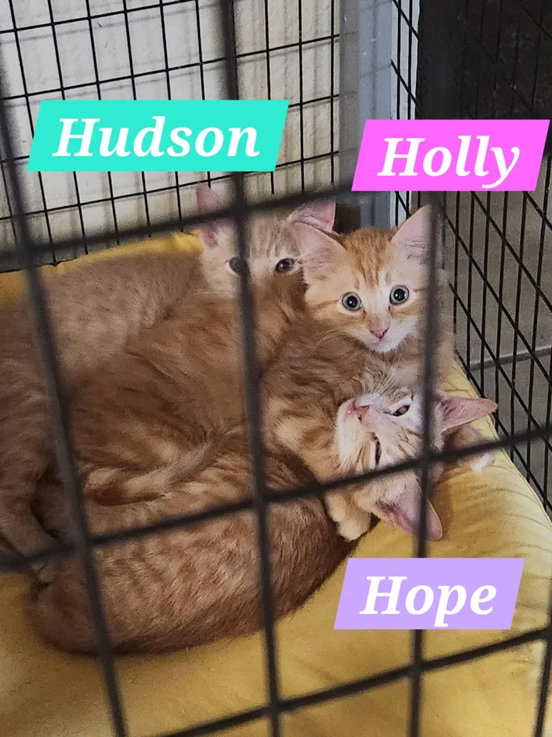 Hope