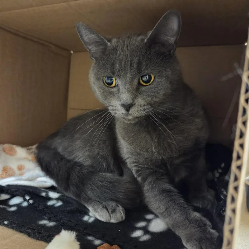 Gracie Mae thumbnail 3