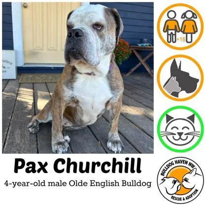 Pax Churchill thumbnail 2