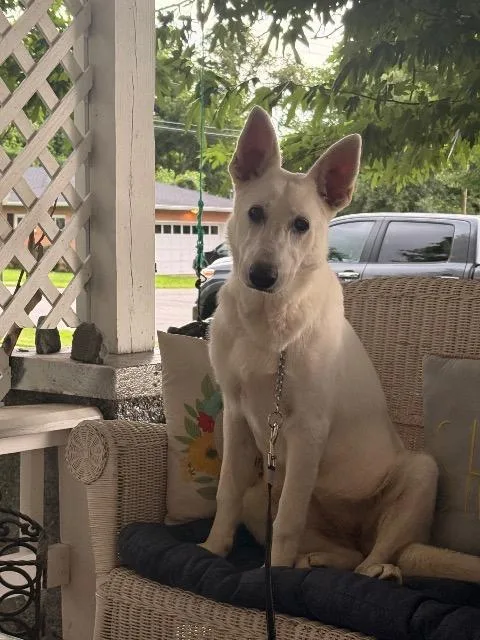 Kali