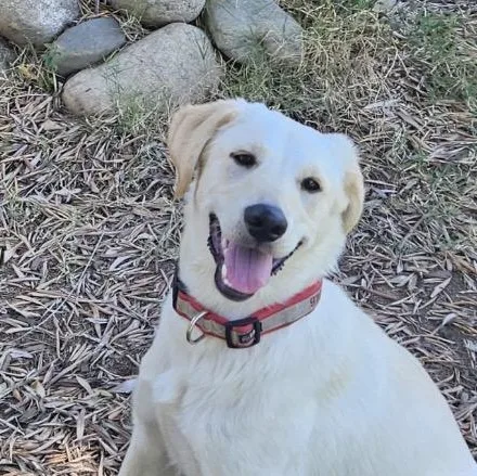 Zoey thumbnail 3