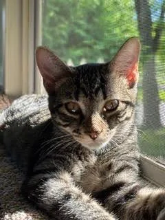 Molly  Polly thumbnail 2