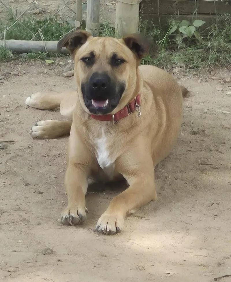 Maverick thumbnail 2