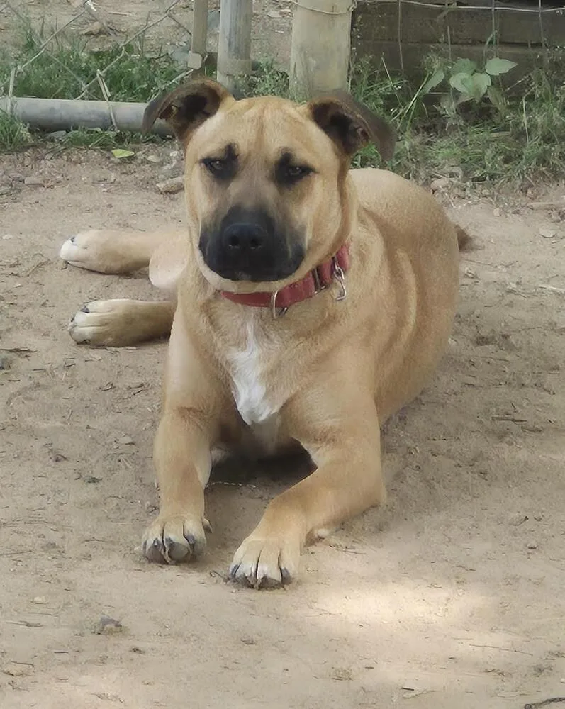 Maverick thumbnail 3