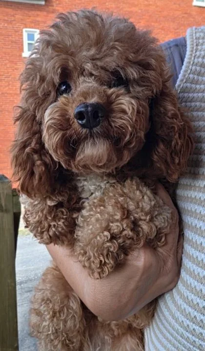 Oona