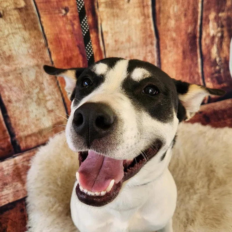 Lola Jum thumbnail 2