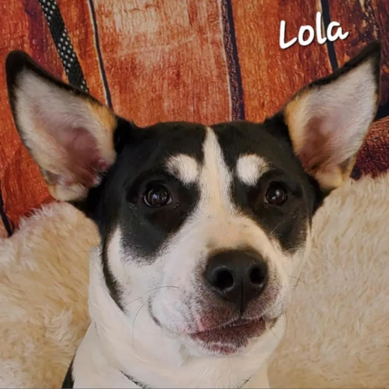 Lola Jum thumbnail 4