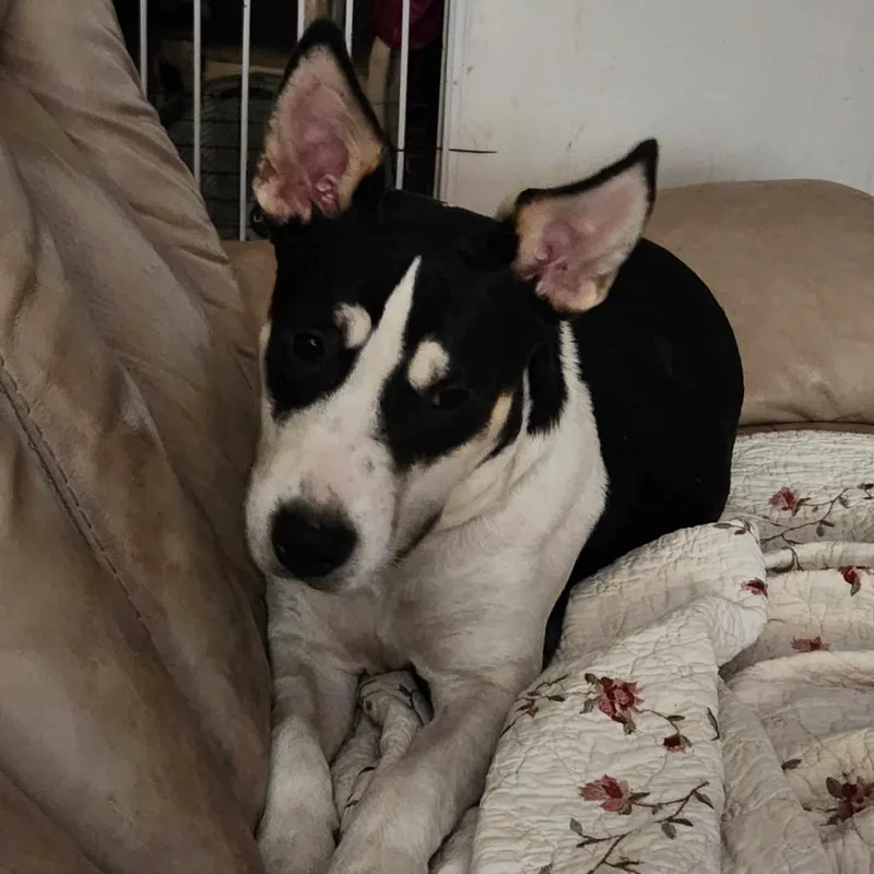 Lola Jum thumbnail 5