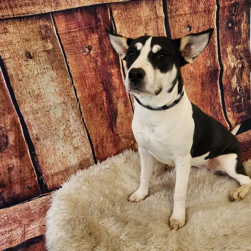 Lola Jum thumbnail 6