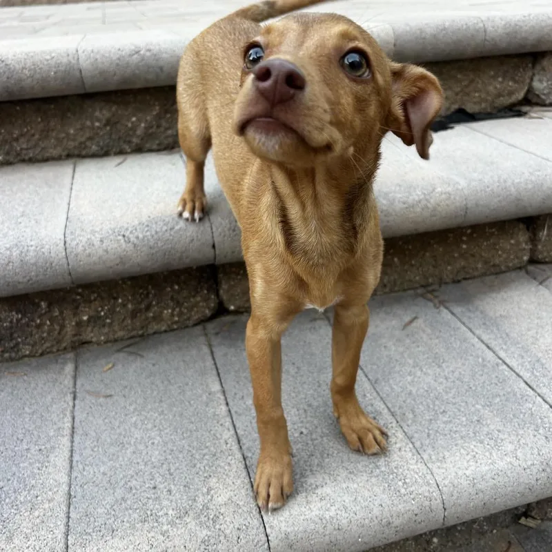 Wrigley thumbnail 2