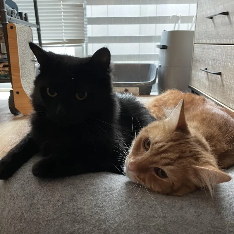 Okie And Smokie  thumbnail 2