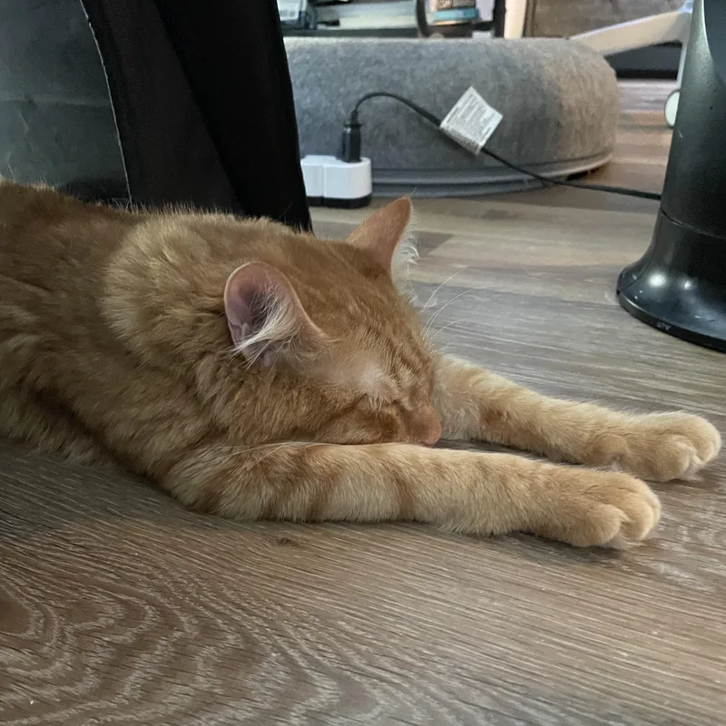 Okie And Smokie  thumbnail 3