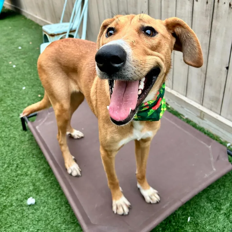 Eloise Parise thumbnail 2