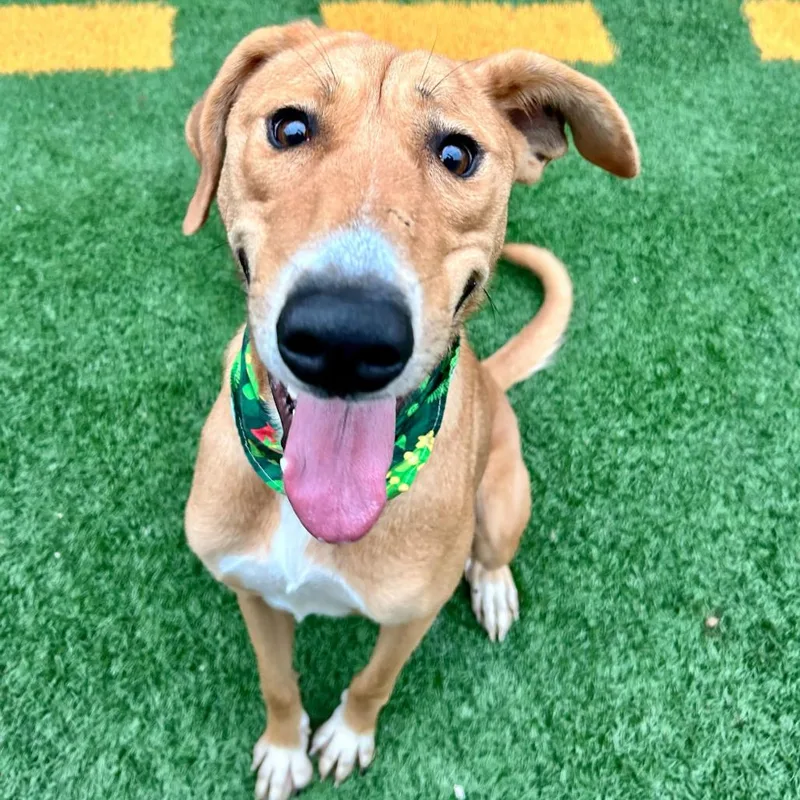 Eloise Parise thumbnail 3