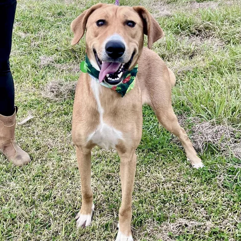 Eloise Parise thumbnail 4