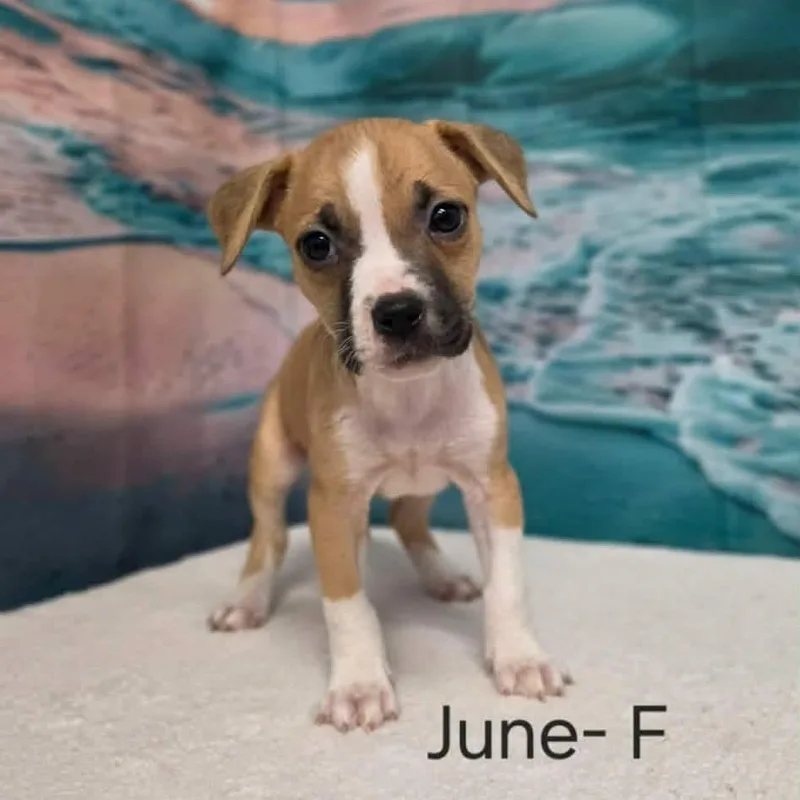 June