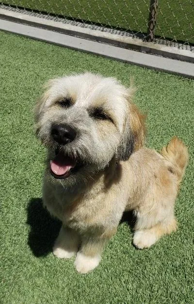 Eddie