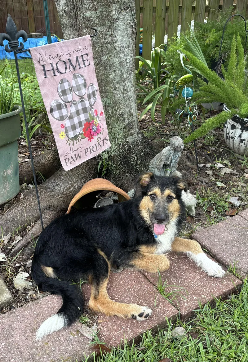 Deuce