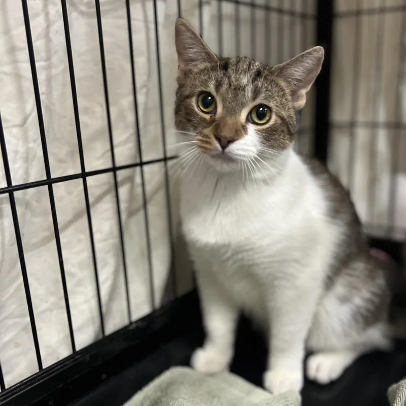 Starbucks thumbnail 3