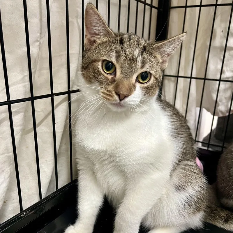 Starbucks thumbnail 5