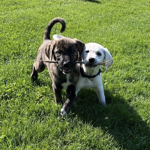 Isles thumbnail 4