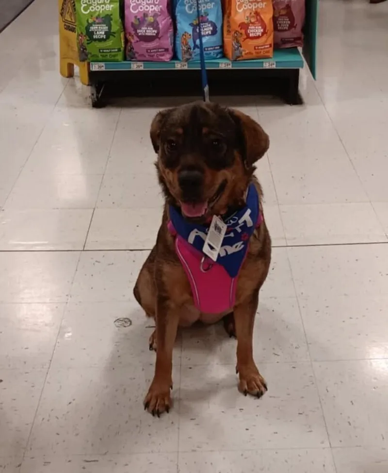 Frances Bean thumbnail 2