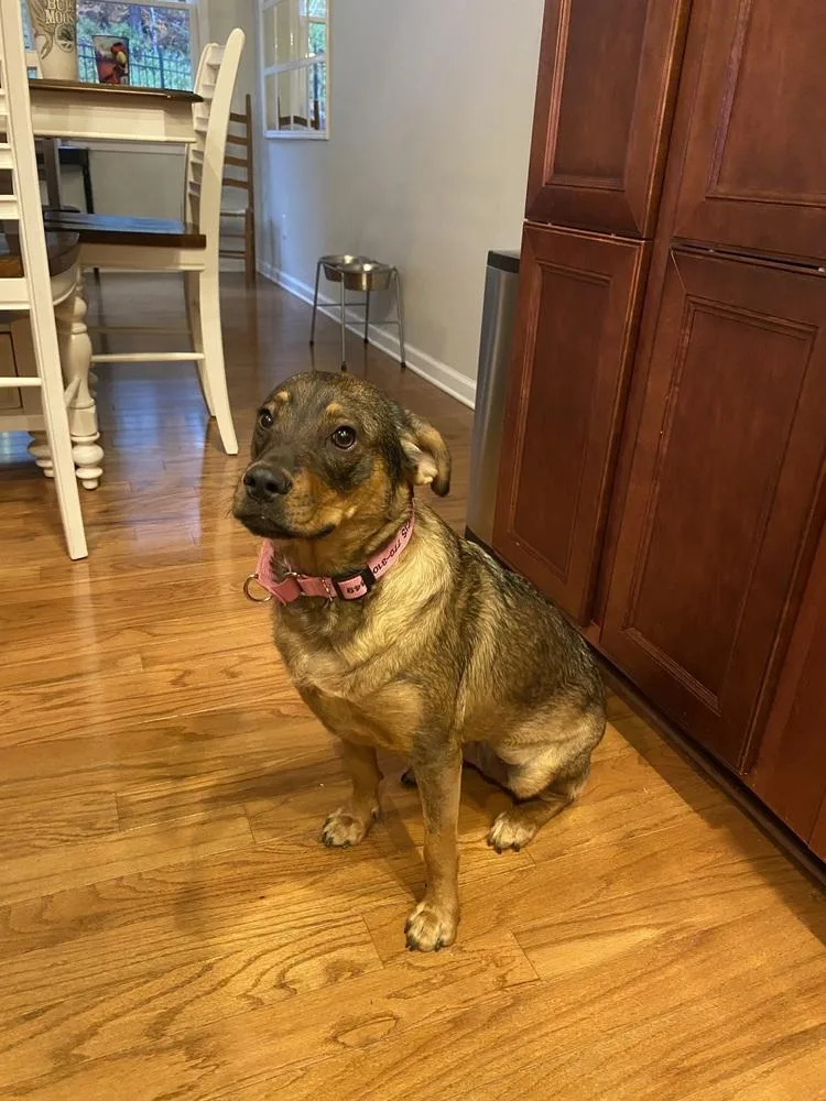 Frances Bean thumbnail 3