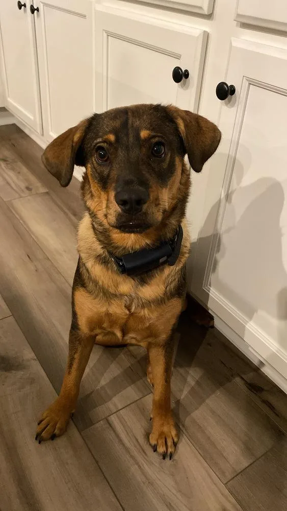 Frances Bean thumbnail 6