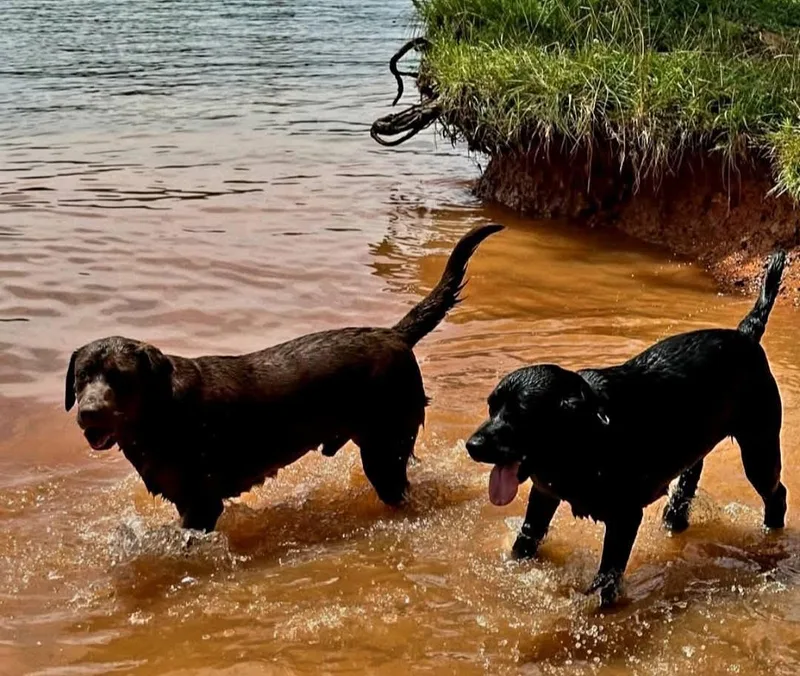 Finn & Odin thumbnail 2