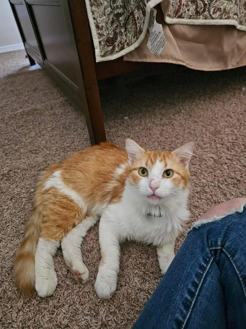 Sunny Yum Yums thumbnail 2