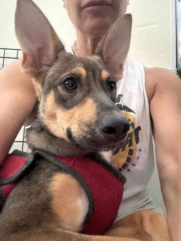 Roo thumbnail 2