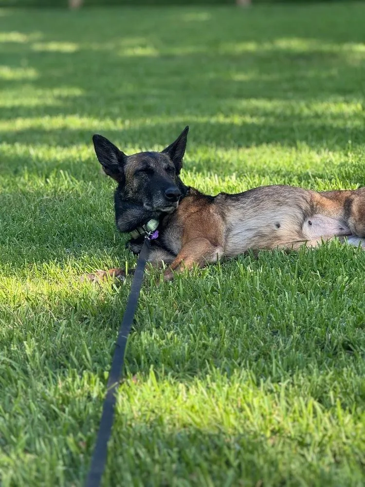 Lady Jade Located In thumbnail 2