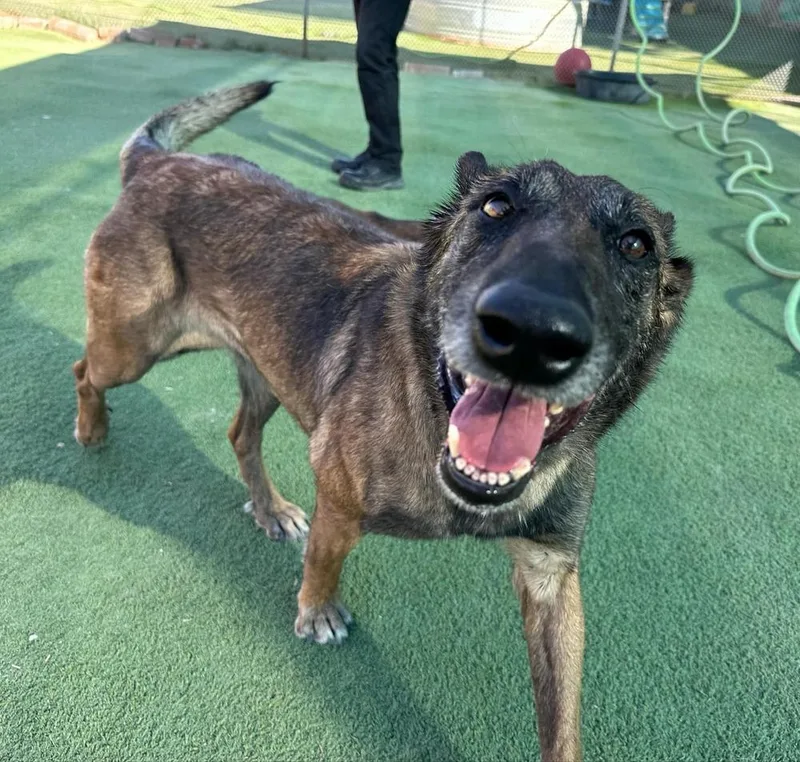 Lady Jade Located In thumbnail 3