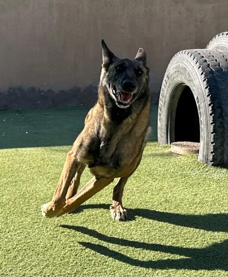 Lady Jade Located In thumbnail 5