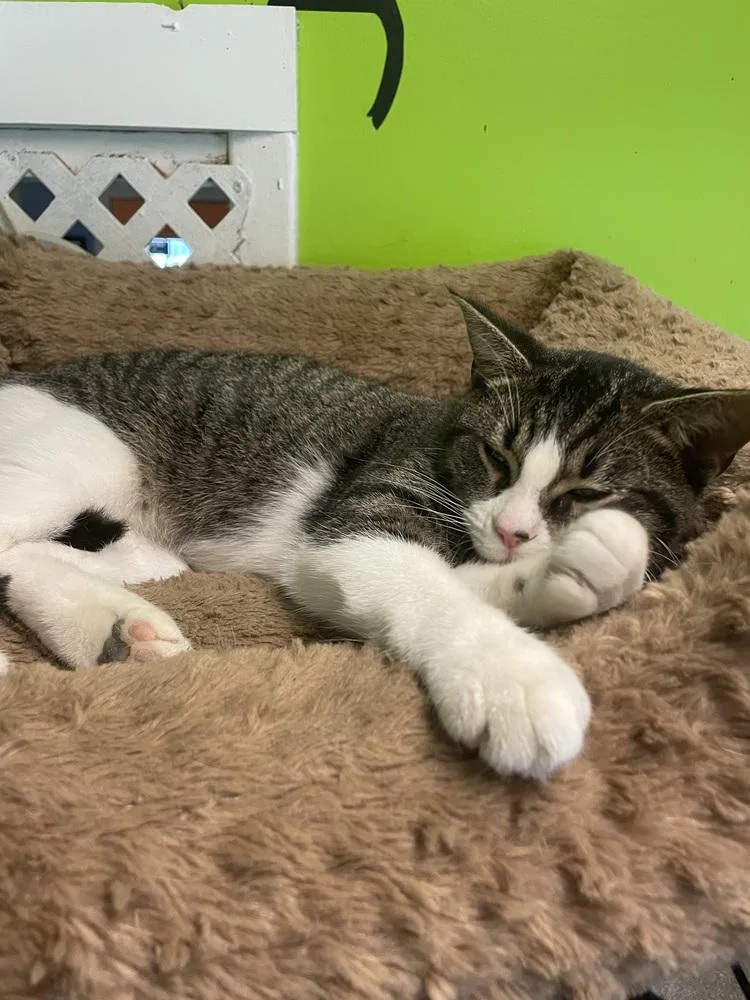 Summer Jo thumbnail 2