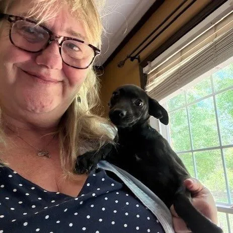 Magnolia ~ Cat Friendly thumbnail 2