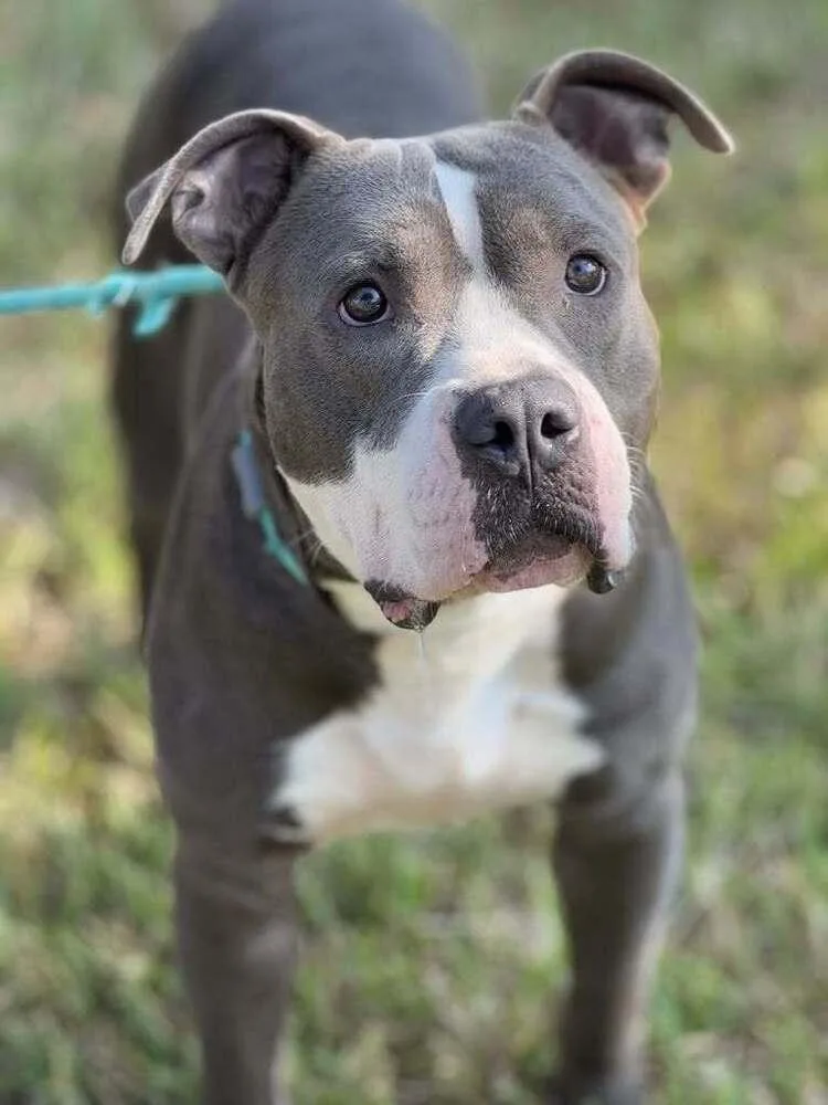 Butch Cassidy thumbnail 3