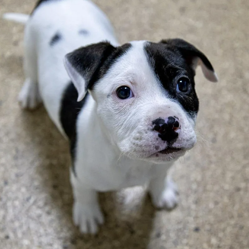 Layla Edwards thumbnail 2