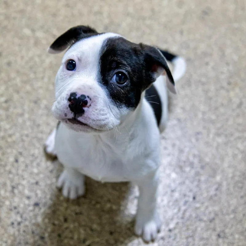 Layla Edwards thumbnail 3