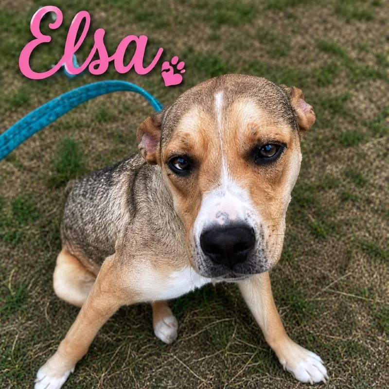 Elsa thumbnail 3