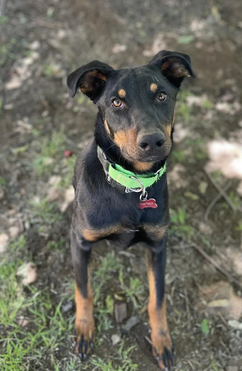 Watermelon thumbnail 2