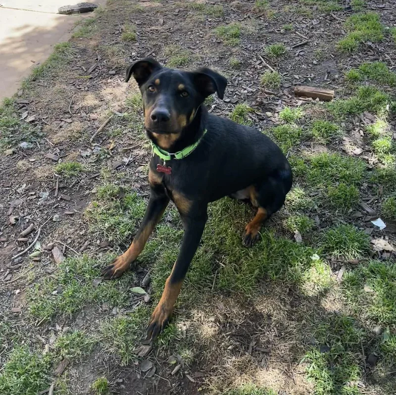 Watermelon thumbnail 3