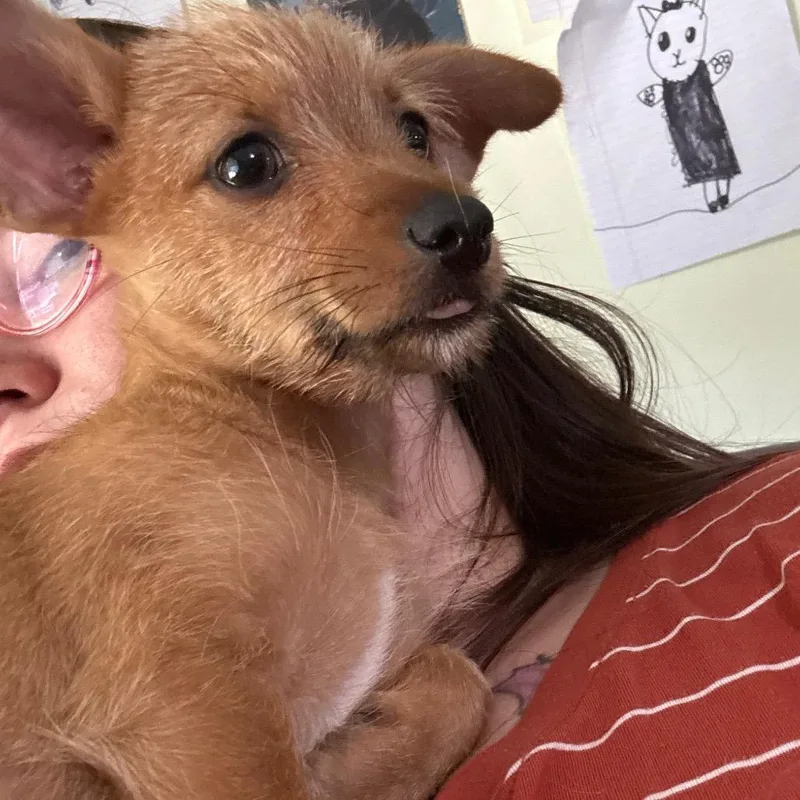 Charlie